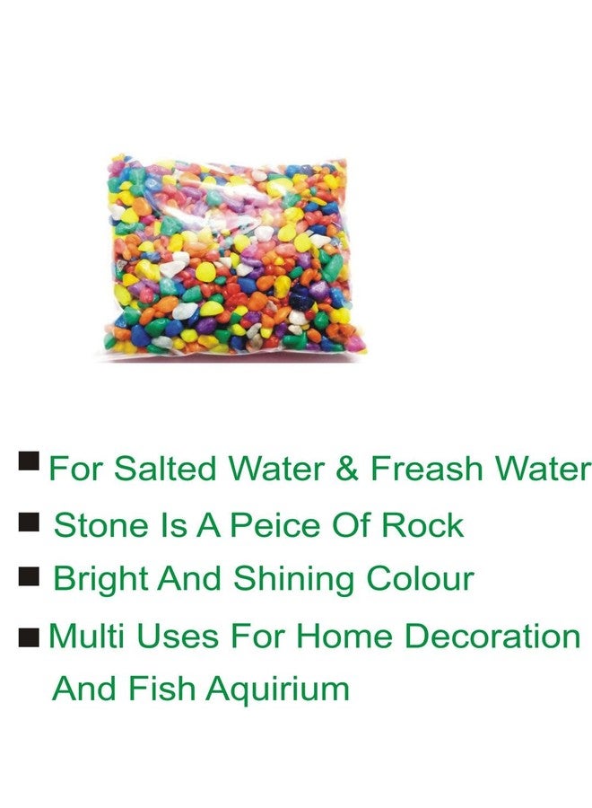 Afast Multicolor Pabbles/Stone for Garden, Plants, Aquarium & Home Decor, Marvels, Decoration, Fish Aquarium, Vase Filler, 0.5 KG -AAAA1 - Image 3
